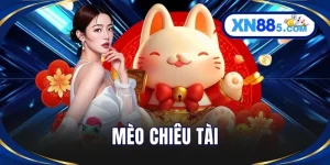 Mèo Chiêu Tài